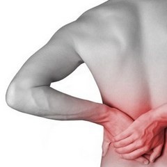 the causes of back pain